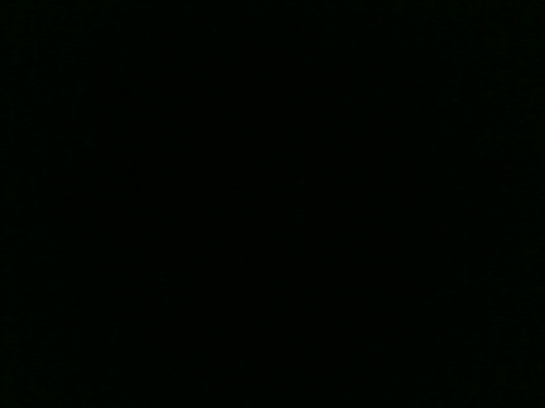boylieb_swag Profile Picture