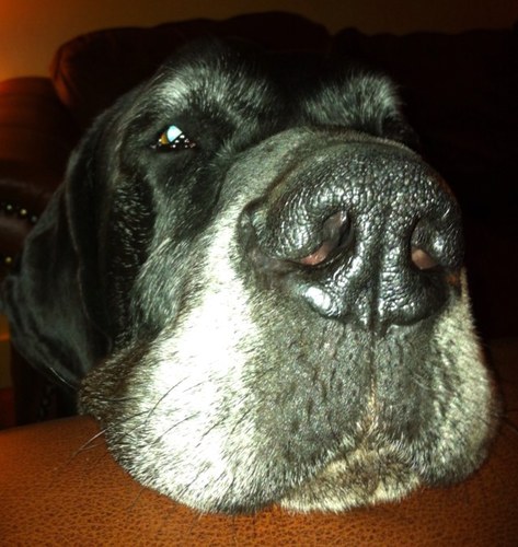 dinoclarke160's profile picture. 