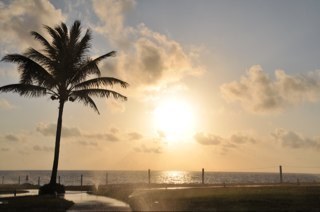 annalpp's profile picture. 