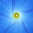 joyce cotter tervo - @joycecotterterv - Twitter