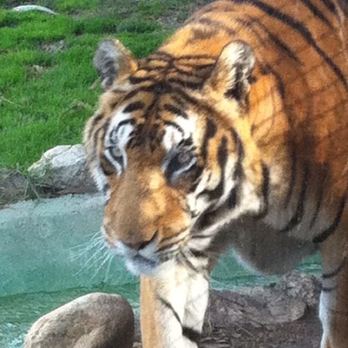 lomerete's profile picture. yo mismo desde 1974