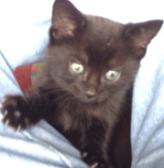 mrbyatt's profile picture. Happy to connect to all who know me! And those who don't.