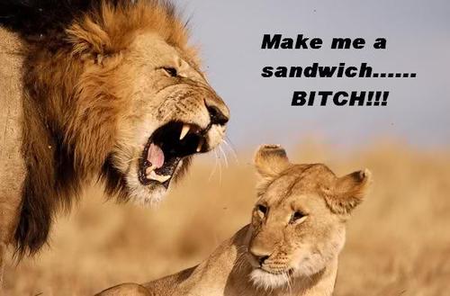 Funny jokes about women and sometimes guys. Cause guys fuck up every now and then too.