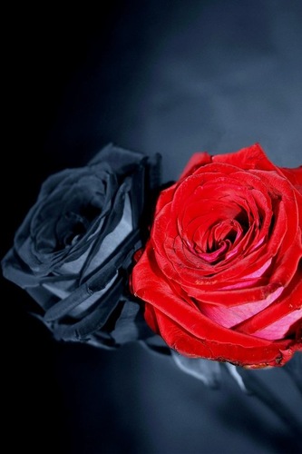 ARIPEREZRUBIO's profile picture. 