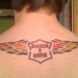 kdoandre's profile picture. To aqui perdido seguindo um monte de gente q nem sei pra onde estão indo...