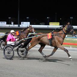 Harness racing, particularly trotters and more particularly Poet trotters is what I am here for