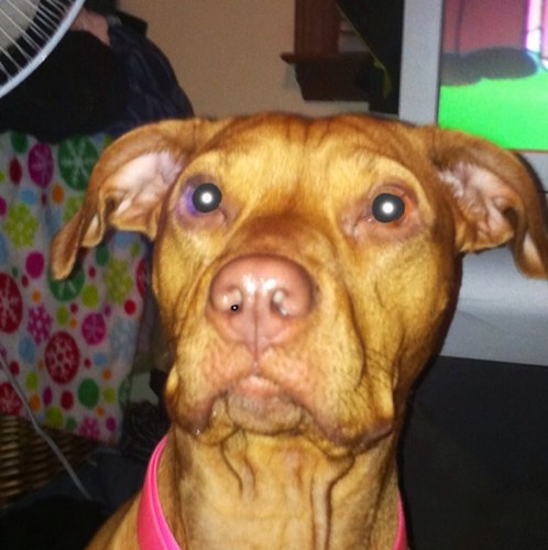 new_198959's profile picture. 