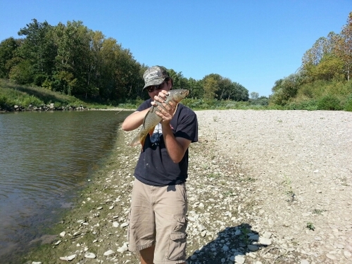 colbyhollabaugh's profile picture. Keepin it real.