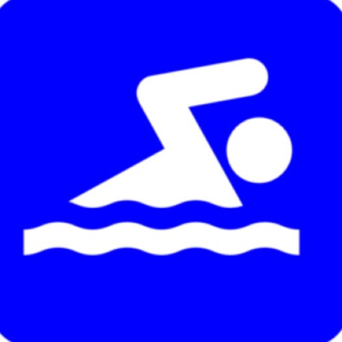 whydoievenswim Profile Picture