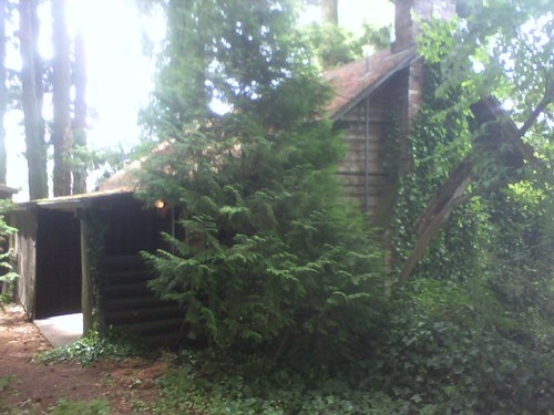 We are a school garden at Alberta Rider Elementary School in Tigard, OR. It's one acre w/ a historical log cabin. Member of Oregon Green Schools.