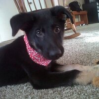 Hobbi (@njacobs22) 's Twitter Profile