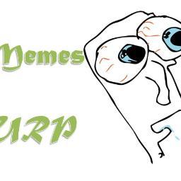 Memes Richisinos!