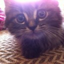 Michael Kobe  - @MichaelKobe10 - Twitter