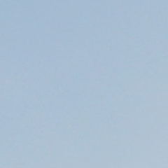 adventurejogja's profile picture. JOGJA, Petualangan Apa Saja Menarik