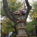 Bryan Bernard - @takenGrumpies - Twitter