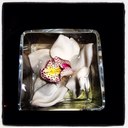 Laura  - @Laura_Abbey24 - Twitter