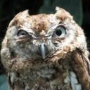 ENRIQUE HUESCA - @karleerowheary6 - Twitter