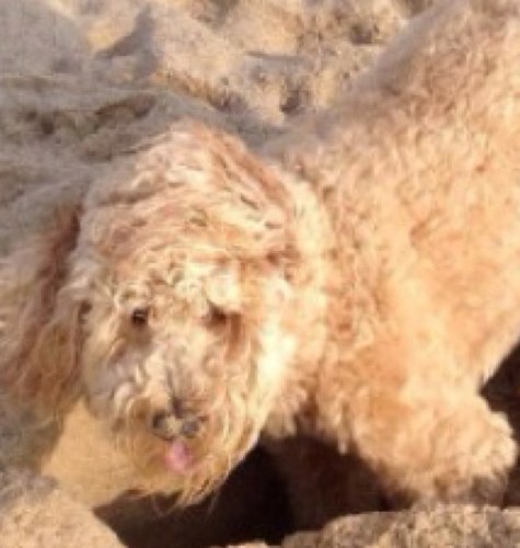 jwettling's profile picture. 