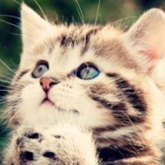 相互フォローをしたい方が集まる場所です。