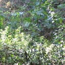 Michael baston - @mbas34 - Twitter