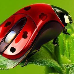 Powderworks_Web's profile picture. Powderworks | Creative Online Partnerships