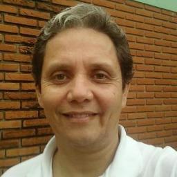 Pós graduado em Gestão de Negócios e Docência para o ensino superior; Tecnólogo em Logística; Bacharel Ciências Sociais. Compreende Português, Espanhol, Inglês.