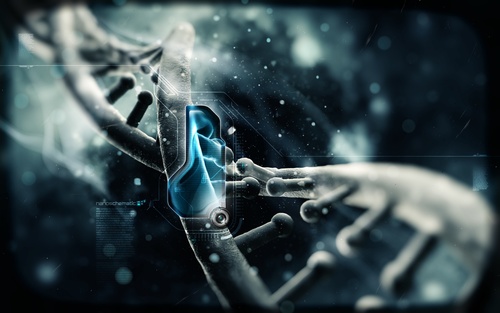 Techgadget1's profile picture. Tech Gadget Technology news, discoveries, product reviews, and geek culture