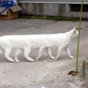 Ross 2 Read - @Ross2read - Twitter