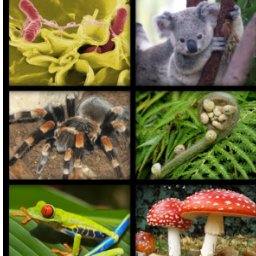 Biology Multiple Choice Questions and Anwers