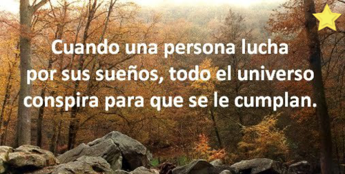 xavierzavalza's profile picture. 