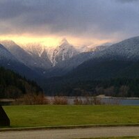 lisa devan (@lcmdevan) 's Twitter Profile