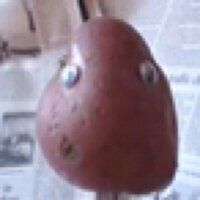 Simon McGarr @Tupp_ed@mastodon.ie (@tupp_ed) 's Twitter Profile Photo Simon McGarr @Tupp_ed@mastodon.ie (@tupp_ed) 's Twitter Profile Photo