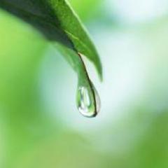 NatureInDesign's profile picture. Being in a natural environment improves our personal well-being. The more we include nature in our built environments, the better. Time to bring the outside in.