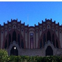 Vinicoladenulles (@vinicolanulles) 's Twitter Profile