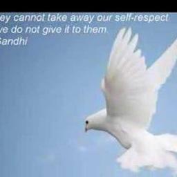 supportgroup1's profile picture. motivating,giving advises,counselling and trying to improve your life