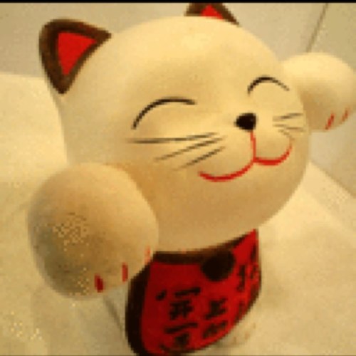 猫をはじめ動物が大好き、お花は生けるねも好きです！