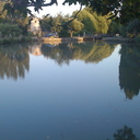 Fiona Allan - @FiAllan0 - Twitter