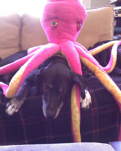 ontheflyknits's profile picture. Flying the friendly skies in the uncommon role of woman pilot. And bringing my knitting ;)