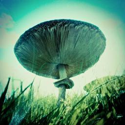 ffotoalt's profile picture. We take photos differently...