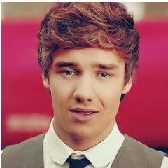Eu amo muito os meus gatos da one direction e esses são eles: Harry Styles, Liam Payne, Zayn Malik, Niall Horan e Louis Tomlisson