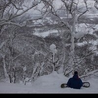T (@t52501070) 's Twitter Profile