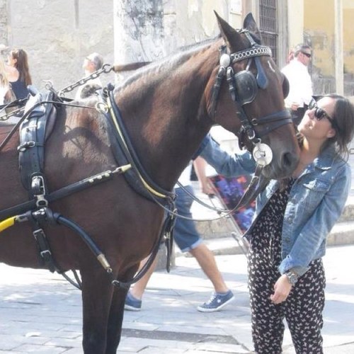 CristinaArnaud's profile picture. 