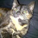 Pat Swanson - @plswanson - Twitter