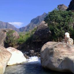 fmessack's profile picture. Biokineticist, Lecturer