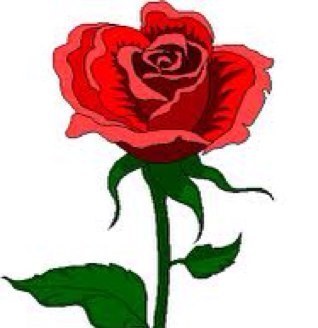 Every rose has its torn.