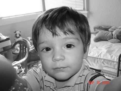 RogerParras's profile picture. 