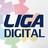LigaDigitalLFP's profile image