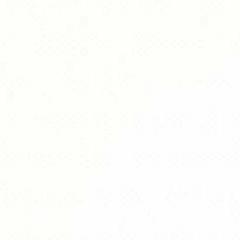 DuckItalian's profile picture. 