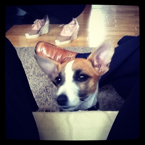 WhitneytheMadra's profile picture. 