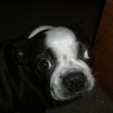 Thomas Franklin West - @elEbaDkaeOrbCnu - Twitter